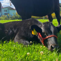 ひとのわブログ3