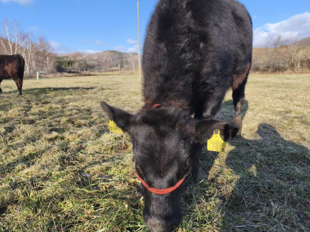 3_11月のひとのわ