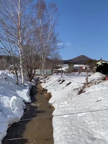 小川にも雪解け水が流れ込み勢いを増しています