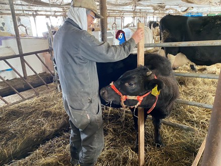 体高もだいぶ高くなってきました